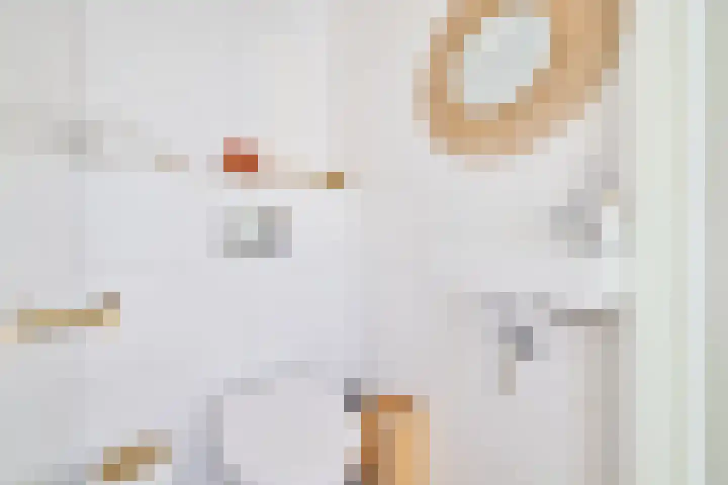 Jan van Zutphenlaan 33 Utrecht thumbnail 24