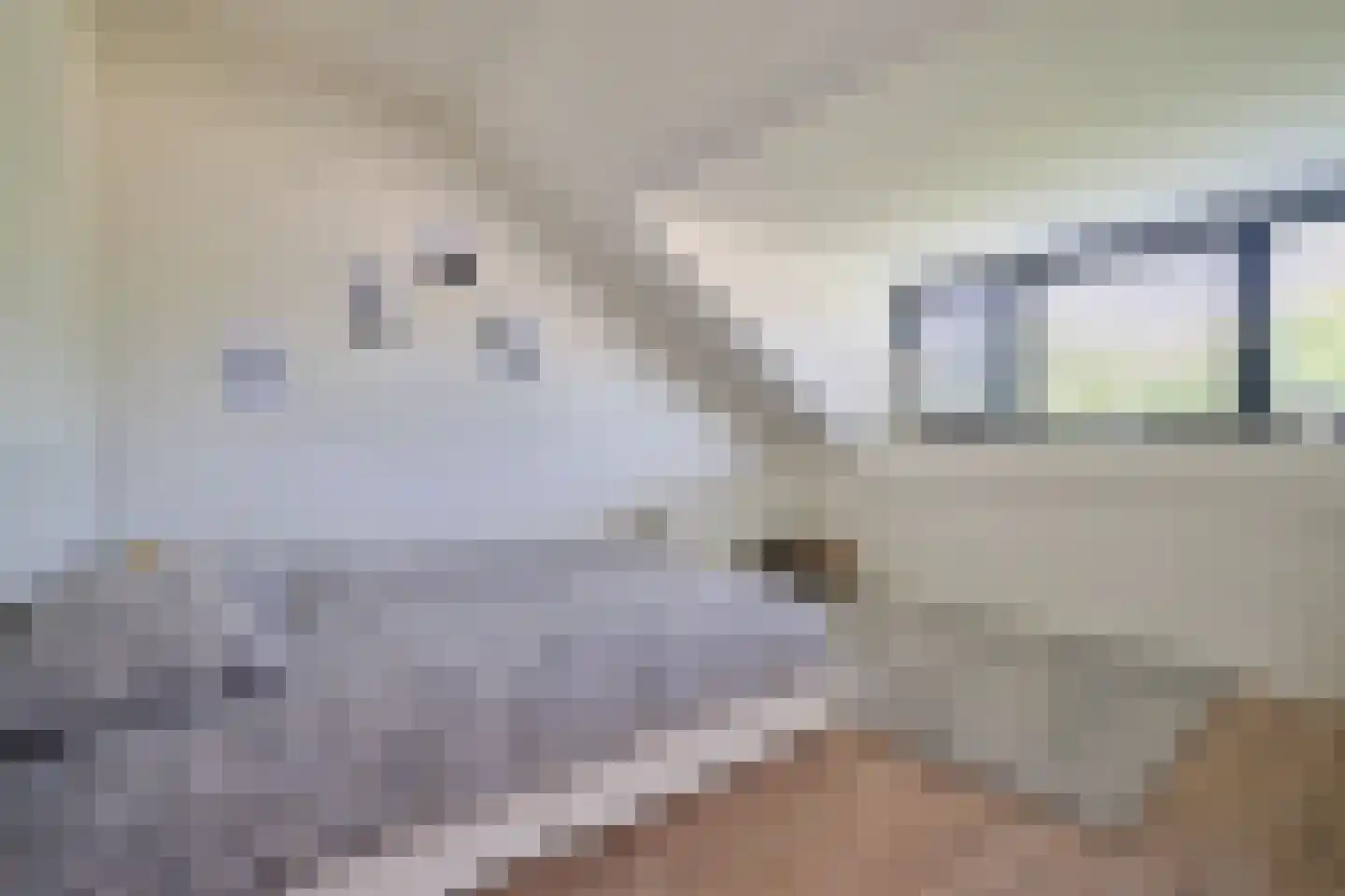 Jan van Zutphenlaan 33 Utrecht thumbnail 30