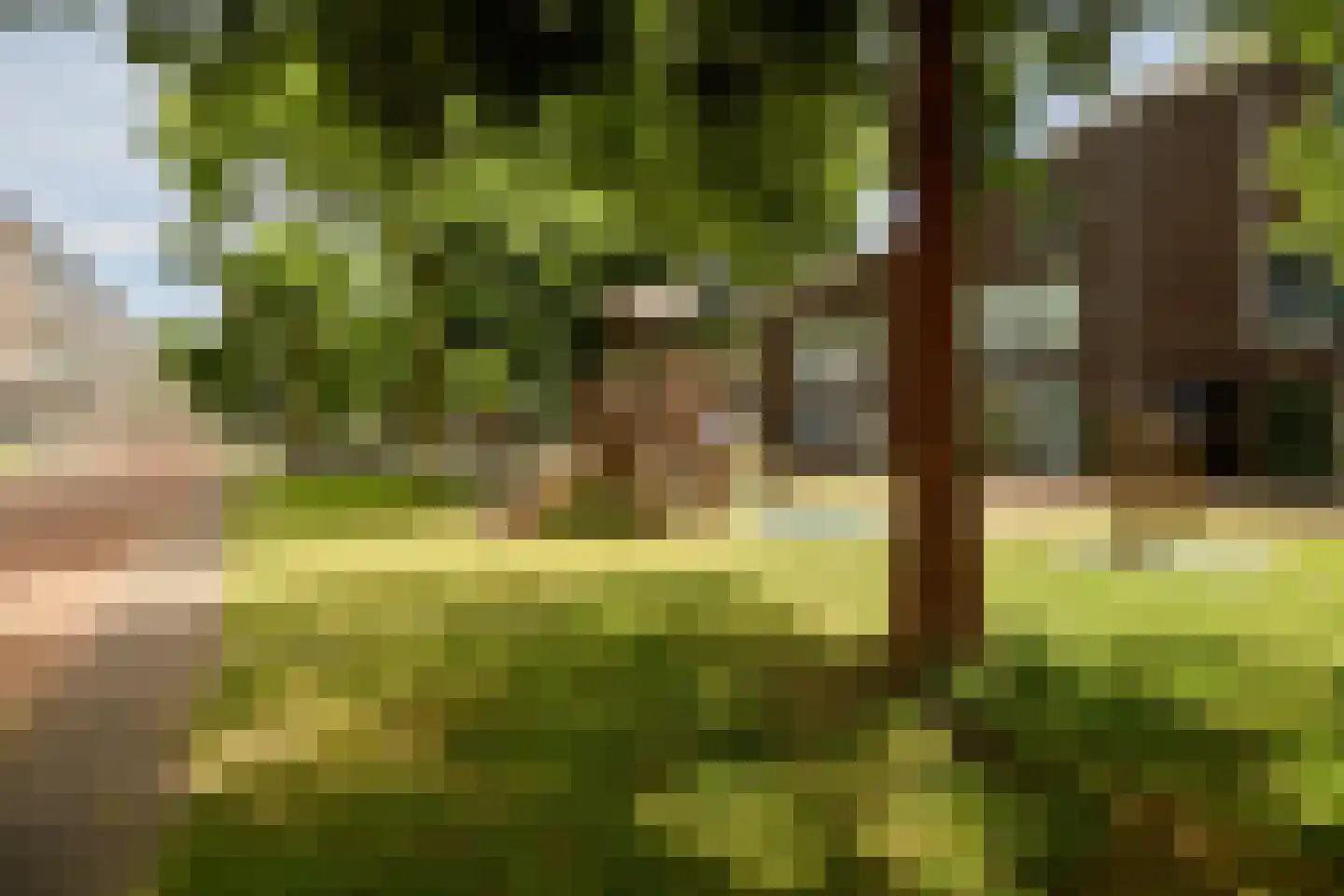 Jan van Zutphenlaan 33 Utrecht thumbnail 39