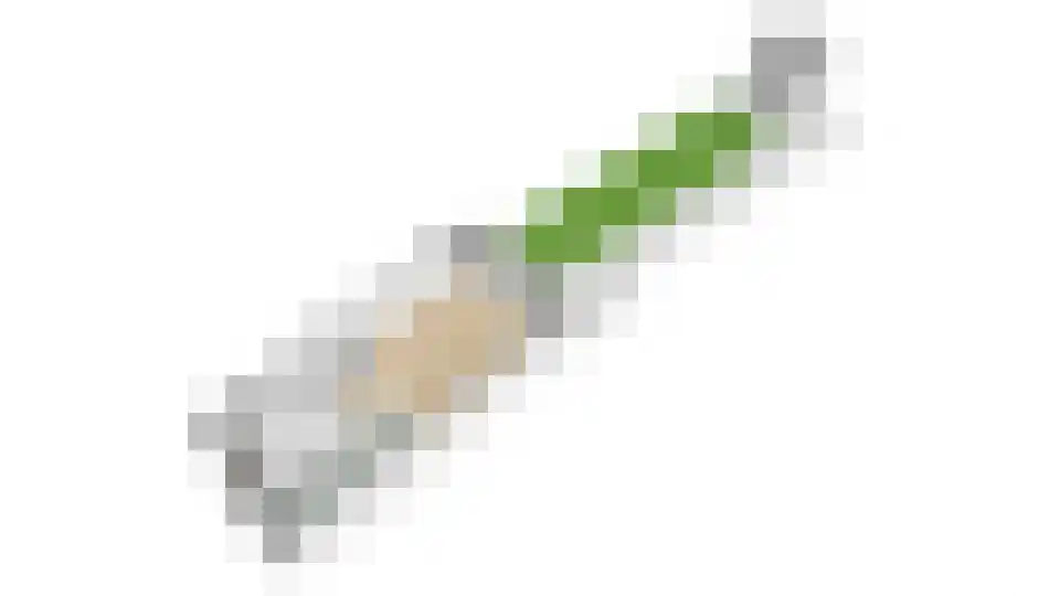Jan van Zutphenlaan 33 Utrecht thumbnail 47