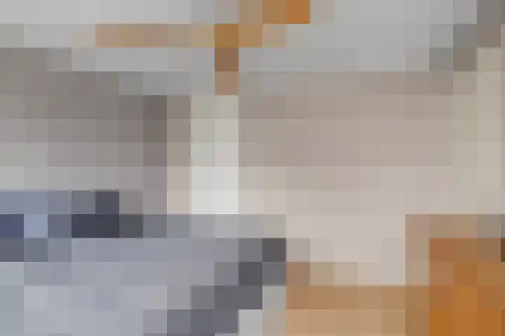 Jan van Zutphenlaan 42 Utrecht thumbnail 18