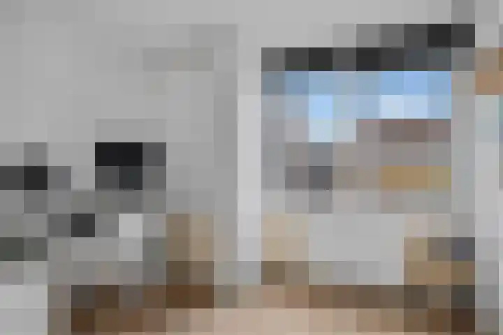 Jan van Zutphenlaan 42 Utrecht thumbnail 19