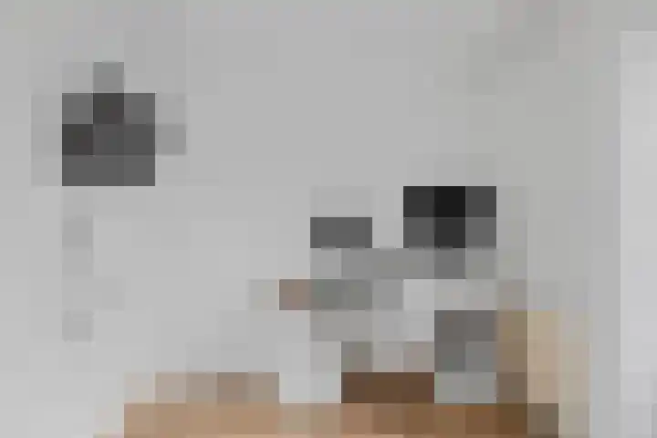 Jan van Zutphenlaan 42 Utrecht thumbnail 20