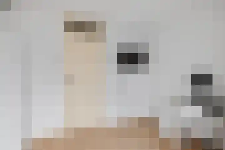Jan van Zutphenlaan 42 Utrecht thumbnail 21