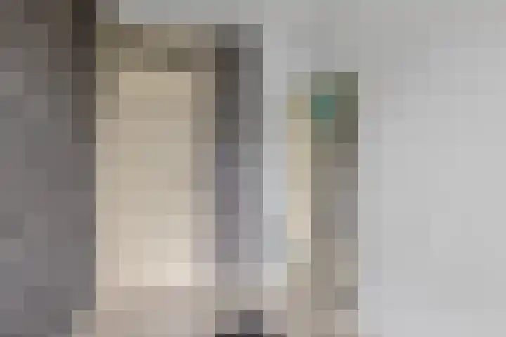 Jan van Zutphenlaan 42 Utrecht thumbnail 25