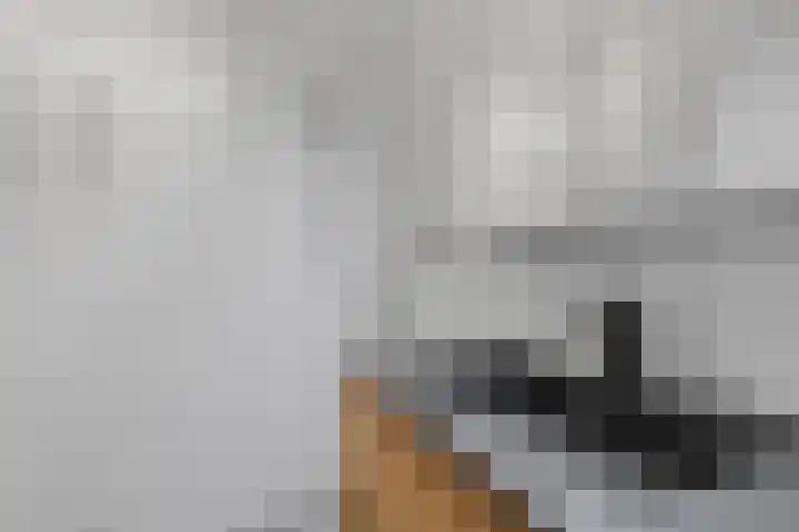 Jan van Zutphenlaan 42 Utrecht thumbnail 26