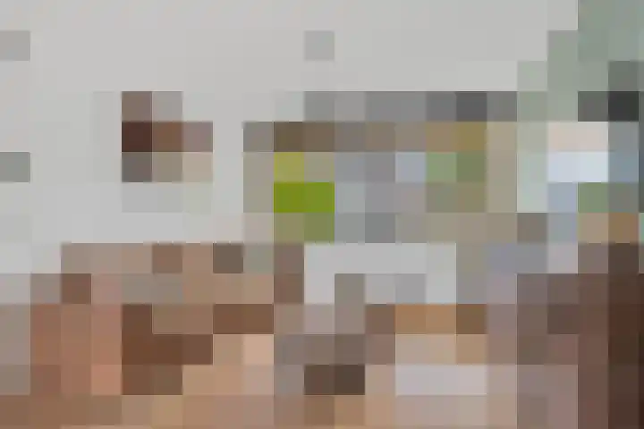 Jan van Zutphenlaan 42 Utrecht thumbnail 5