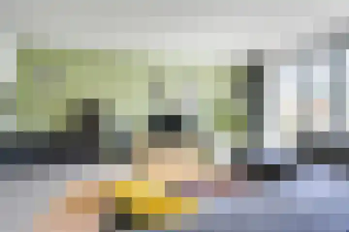 Jan van Zutphenlaan 51 Utrecht thumbnail 11