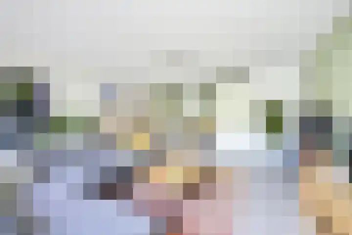 Jan van Zutphenlaan 51 Utrecht thumbnail 12