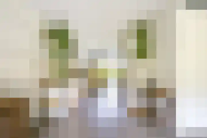 Jan van Zutphenlaan 51 Utrecht thumbnail 15