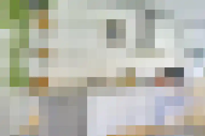 Jan van Zutphenlaan 51 Utrecht thumbnail 16