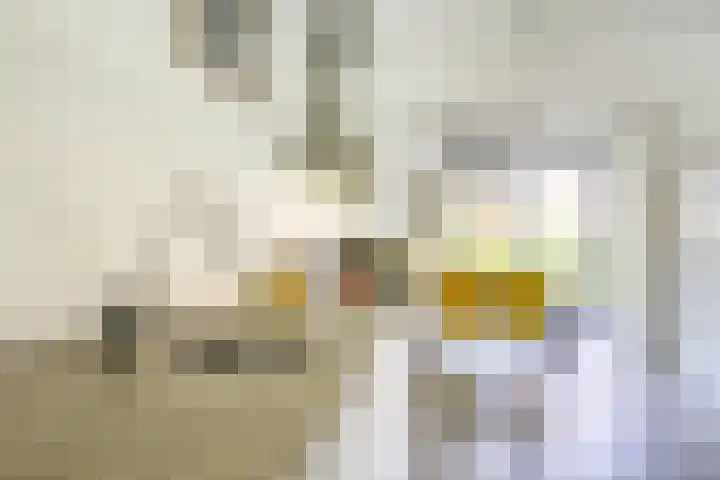 Jan van Zutphenlaan 51 Utrecht thumbnail 17