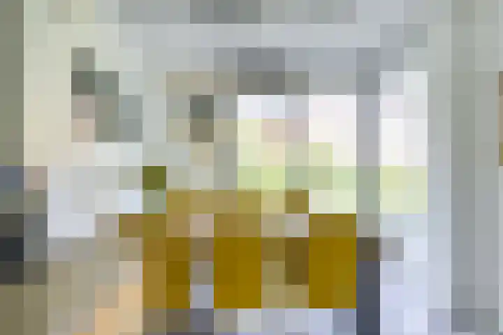 Jan van Zutphenlaan 51 Utrecht thumbnail 20