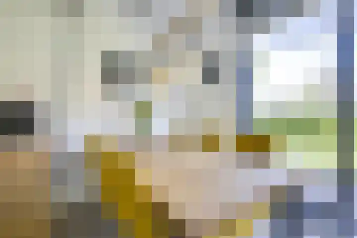 Jan van Zutphenlaan 51 Utrecht thumbnail 21
