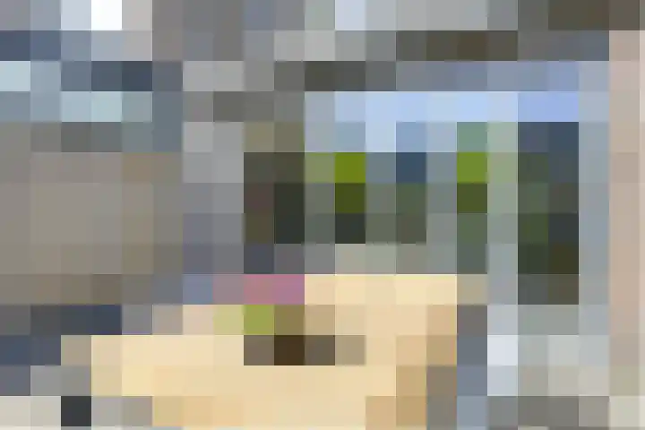Jan van Zutphenlaan 51 Utrecht thumbnail 22