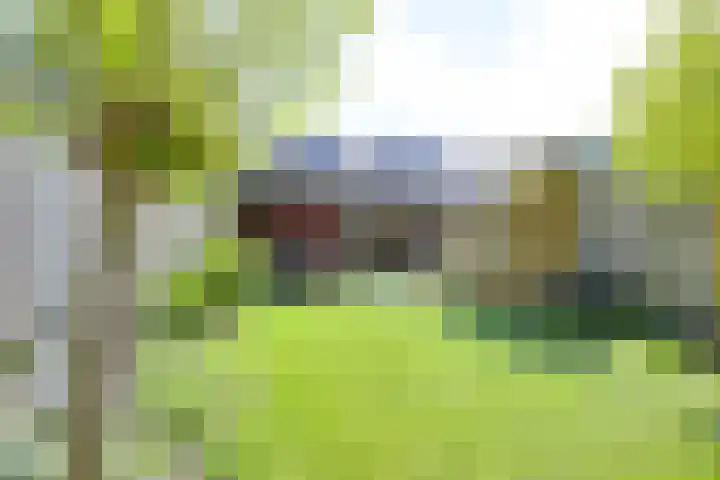 Jan van Zutphenlaan 51 Utrecht thumbnail 25