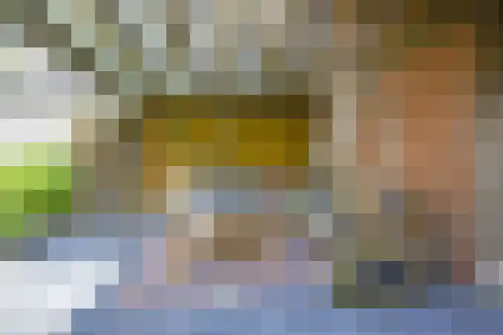 Jan van Zutphenlaan 51 Utrecht thumbnail 26