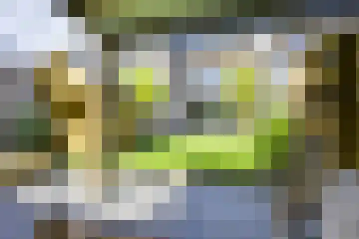 Jan van Zutphenlaan 51 Utrecht thumbnail 27
