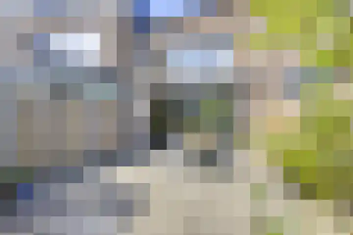 Jan van Zutphenlaan 51 Utrecht thumbnail 28