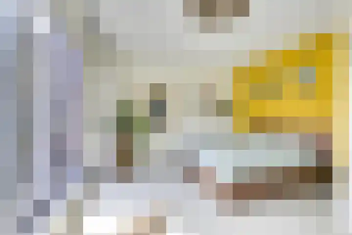 Jan van Zutphenlaan 51 Utrecht thumbnail 29