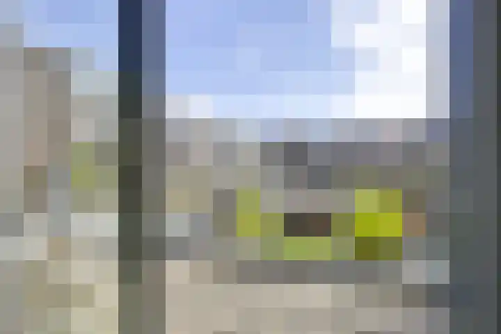 Jan van Zutphenlaan 51 Utrecht thumbnail 33