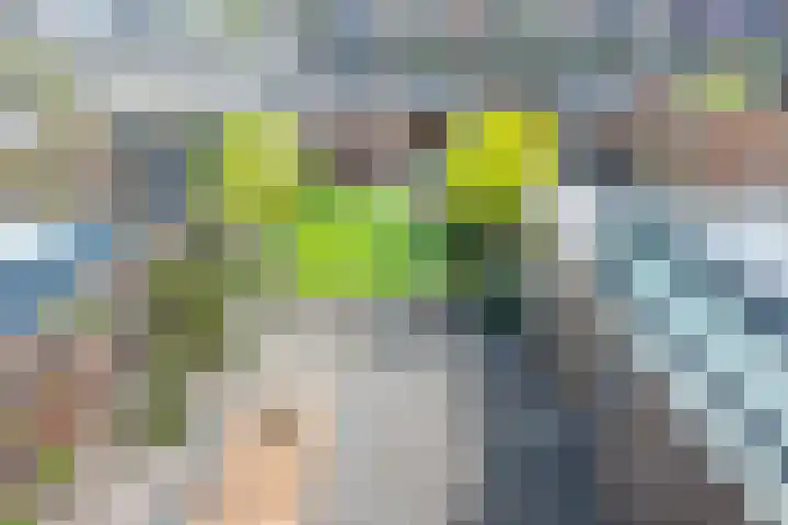 Jan van Zutphenlaan 51 Utrecht thumbnail 36