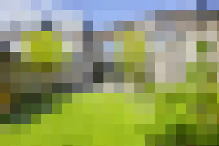 Jan van Zutphenlaan 51 Utrecht thumbnail 4