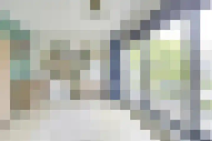 Jan van Zutphenlaan 51 Utrecht thumbnail 43