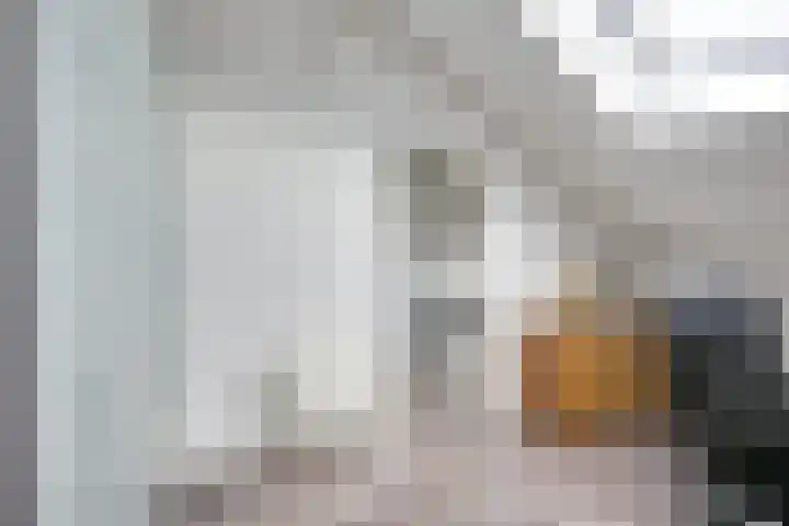 Jan van Zutphenlaan 51 Utrecht thumbnail 47
