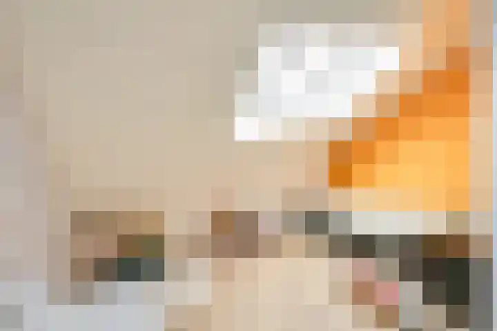 Jan van Zutphenlaan 51 Utrecht thumbnail 50