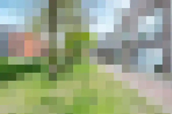 Jan van Zutphenlaan 51 Utrecht thumbnail 56
