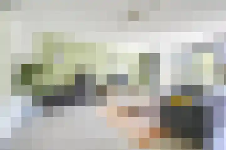 Jan van Zutphenlaan 51 Utrecht thumbnail 8