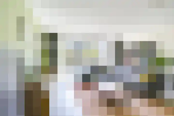 Jan van Zutphenlaan 51 Utrecht thumbnail 9