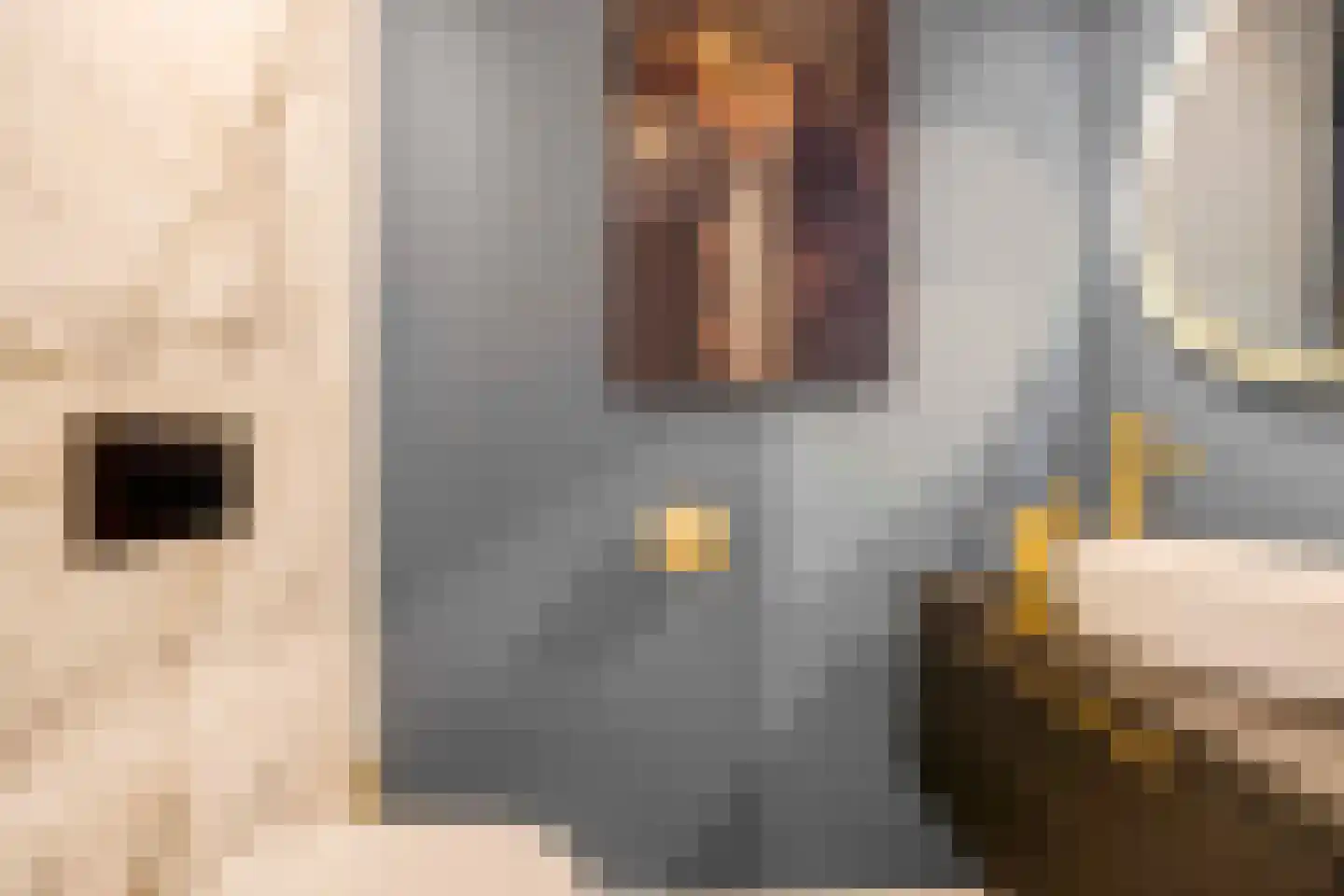 Jan van Zutphenlaan 59 Utrecht thumbnail 18