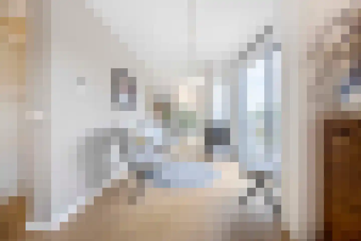 Jan van Zutphenlaan 59 Utrecht thumbnail 20