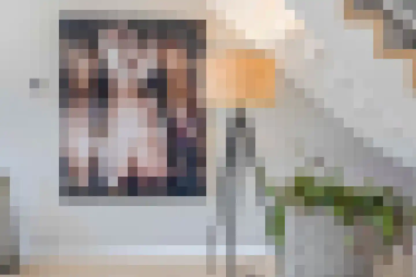 Jan van Zutphenlaan 59 Utrecht thumbnail 22