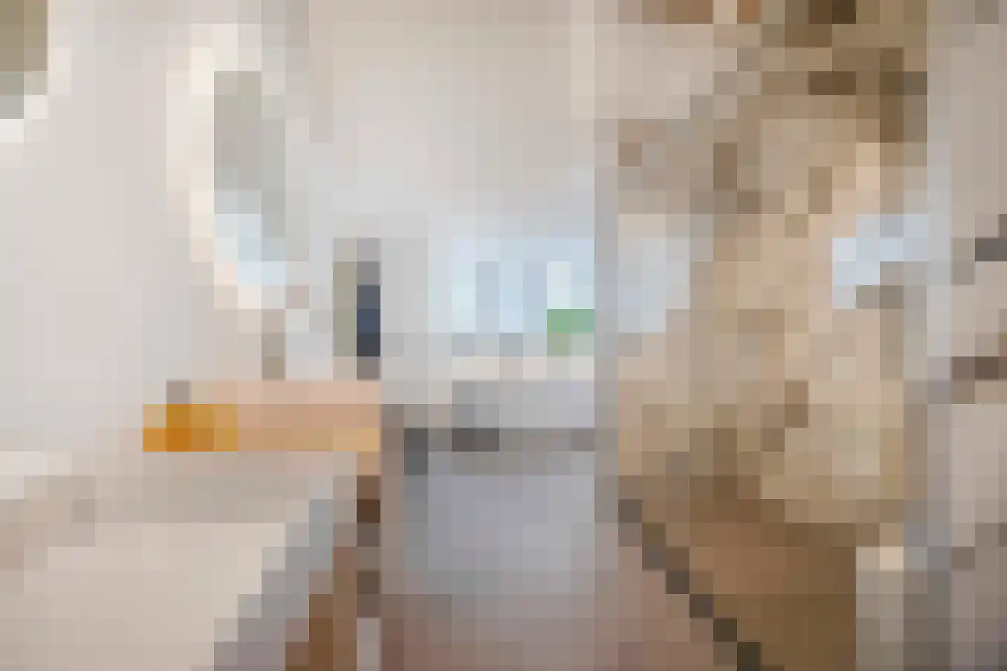Jan van Zutphenlaan 59 Utrecht thumbnail 31