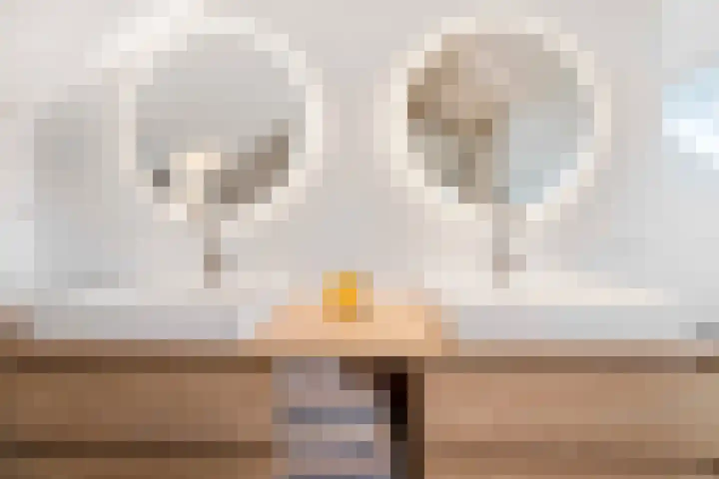 Jan van Zutphenlaan 59 Utrecht thumbnail 33