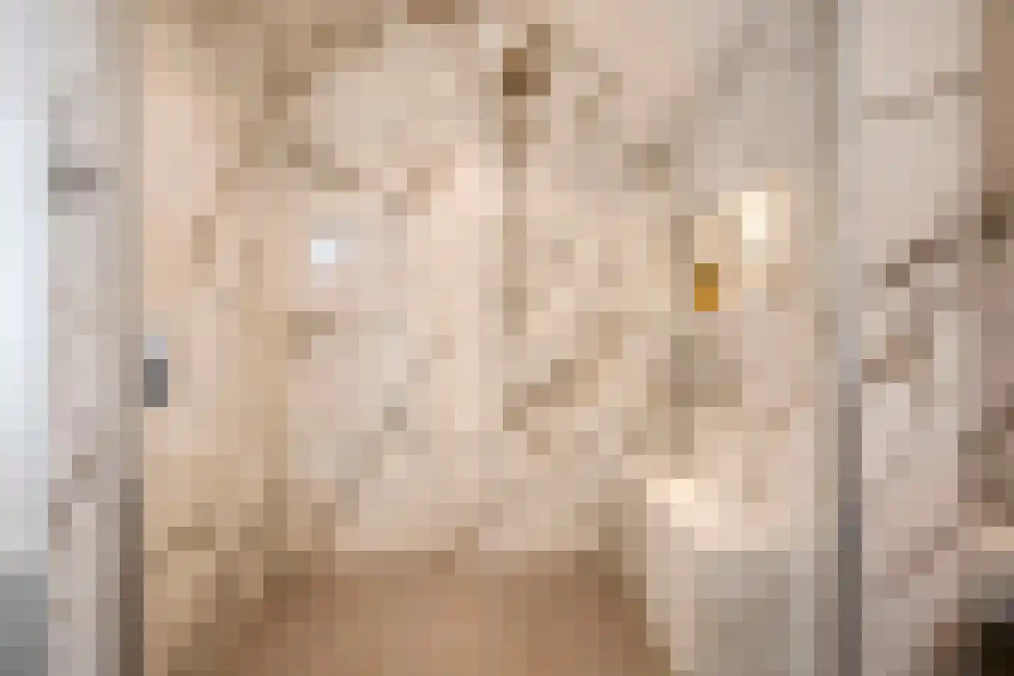 Jan van Zutphenlaan 59 Utrecht thumbnail 36