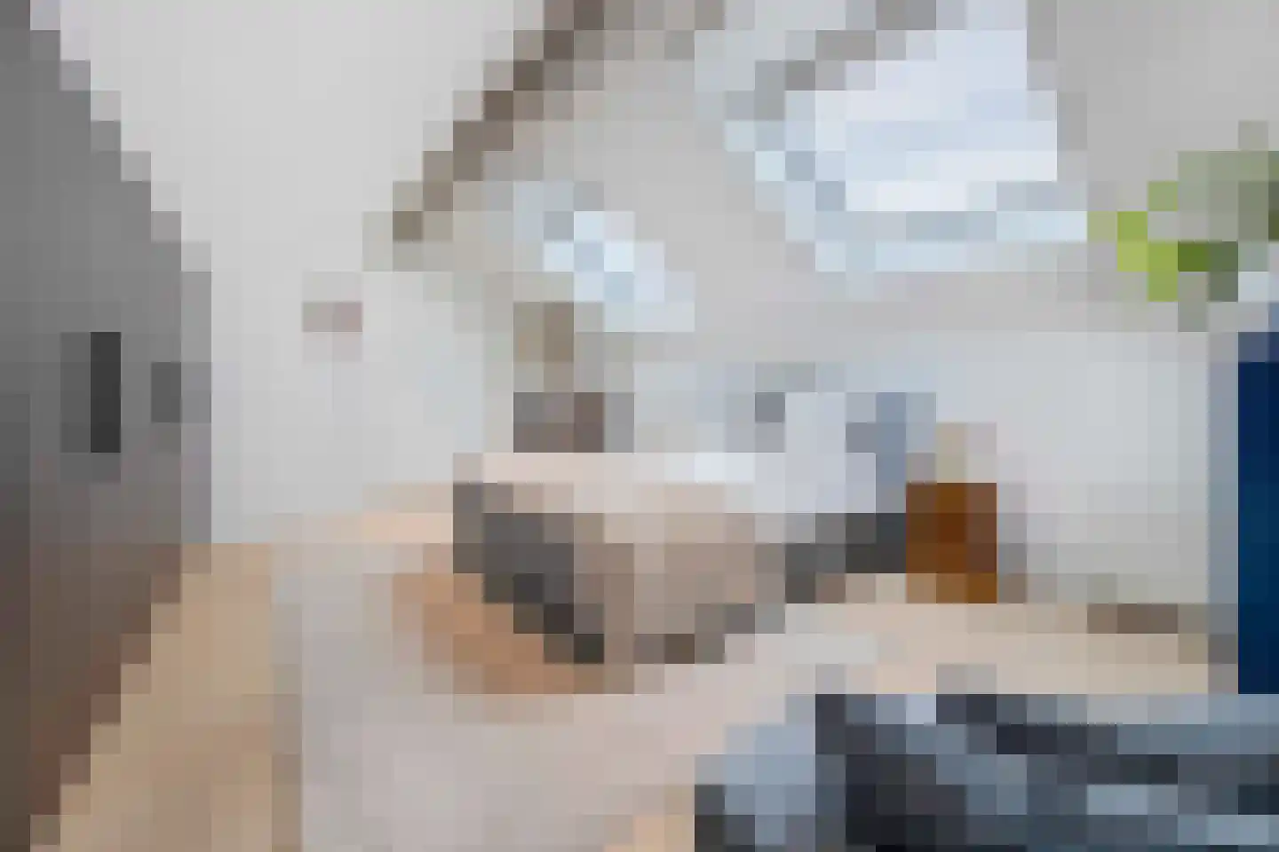 Jan van Zutphenlaan 59 Utrecht thumbnail 39
