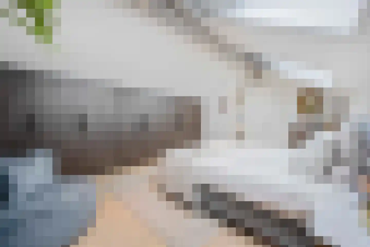 Jan van Zutphenlaan 59 Utrecht thumbnail 43