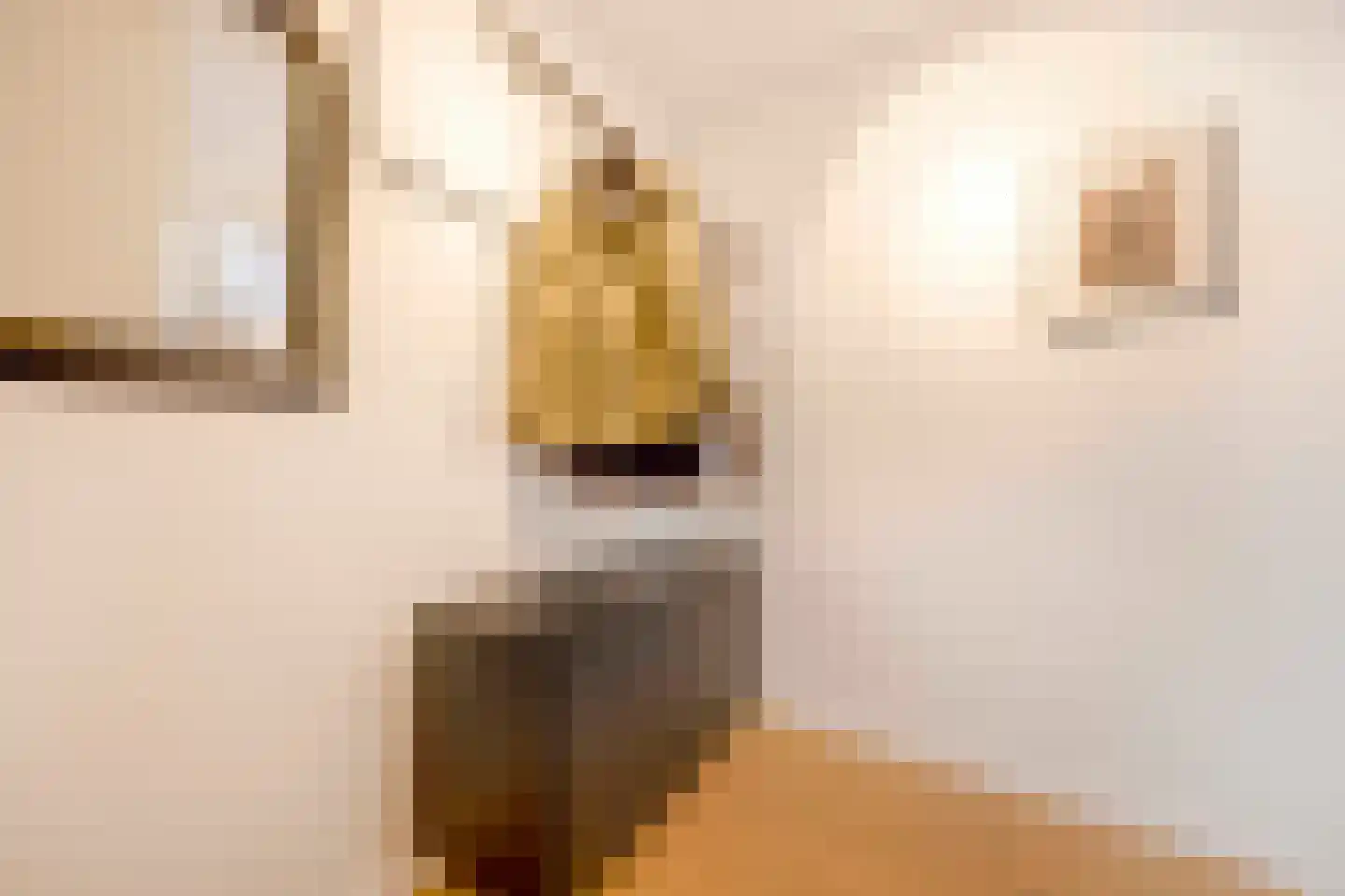 Jan van Zutphenlaan 59 Utrecht thumbnail 9