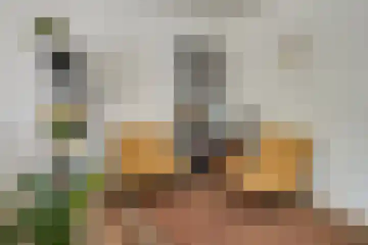 Jan van Zutphenlaan 70 Utrecht thumbnail 14