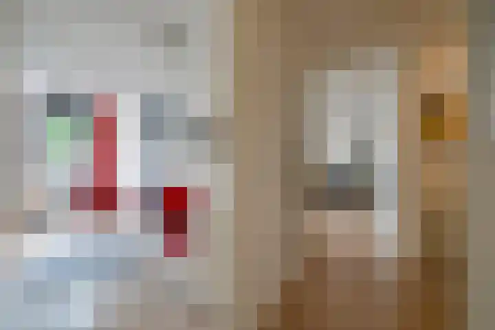 Jan van Zutphenlaan 70 Utrecht thumbnail 16