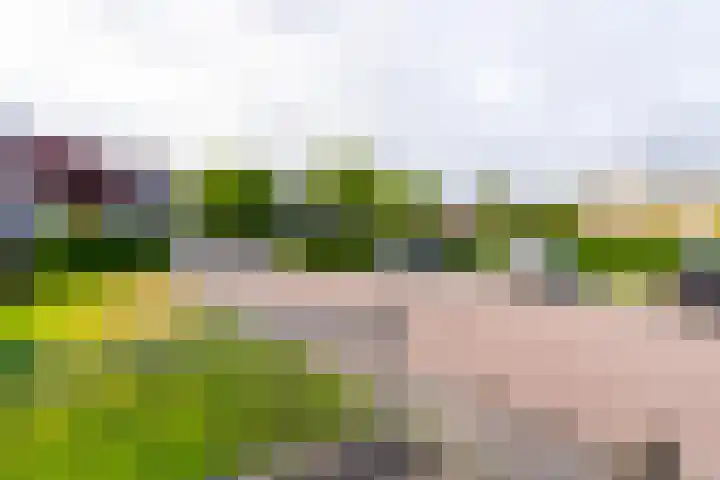 Jan van Zutphenlaan 70 Utrecht thumbnail 27