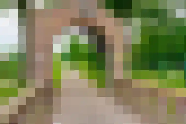 Jan van Zutphenlaan 70 Utrecht thumbnail 29