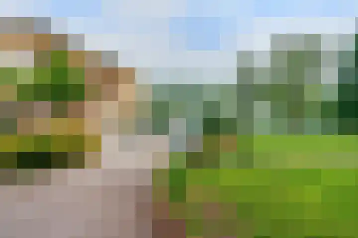 Jan van Zutphenlaan 70 Utrecht thumbnail 30