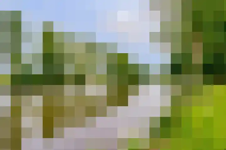Jan van Zutphenlaan 70 Utrecht thumbnail 31
