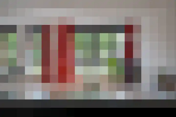 Jan van Zutphenlaan 70 Utrecht thumbnail 8