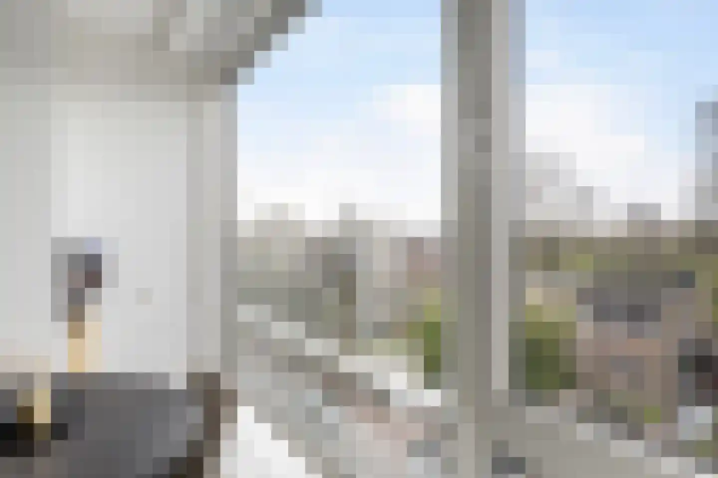 Jan van Zutphenstraat 13 Schiedam thumbnail 12